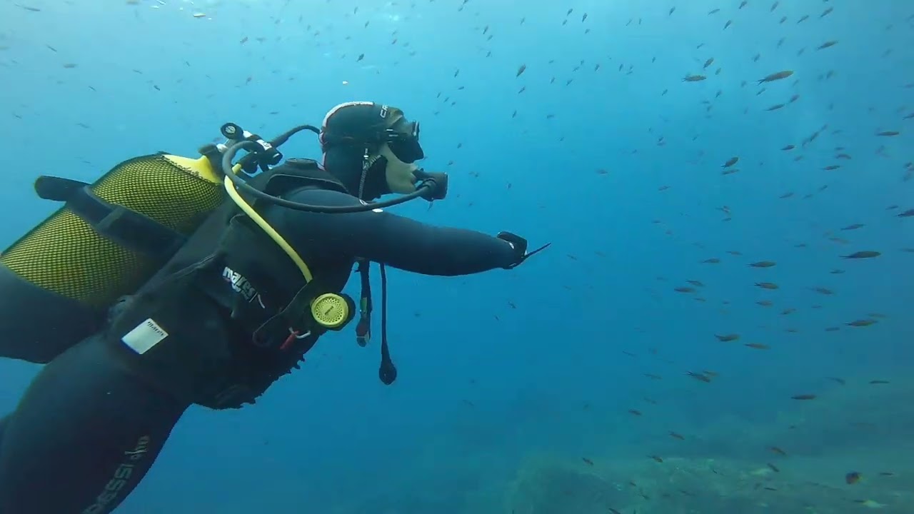Plongée dans les Îles Cerbicales - Porto-Vecchio / Corsica