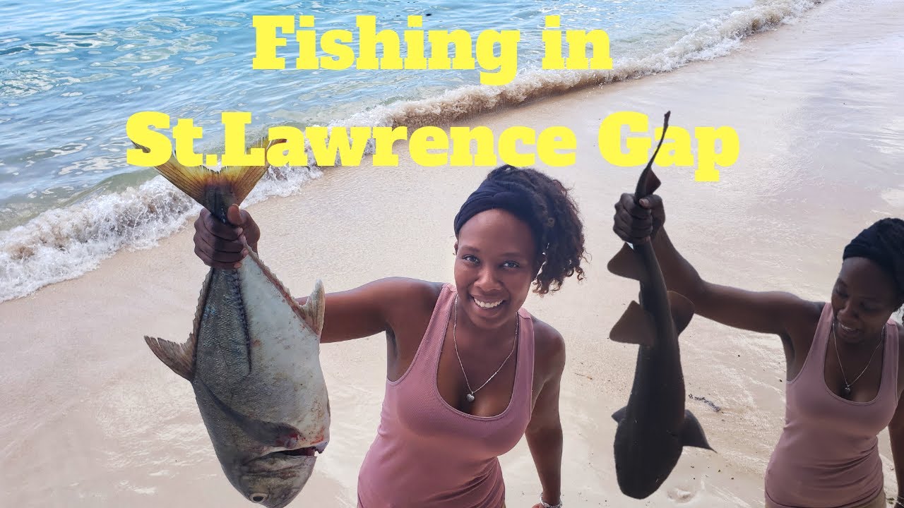FISHING FOR SHARK, EEL & LOBSTER | St.lawrence Gap Fishing Community | Viewer Discretion Adviced