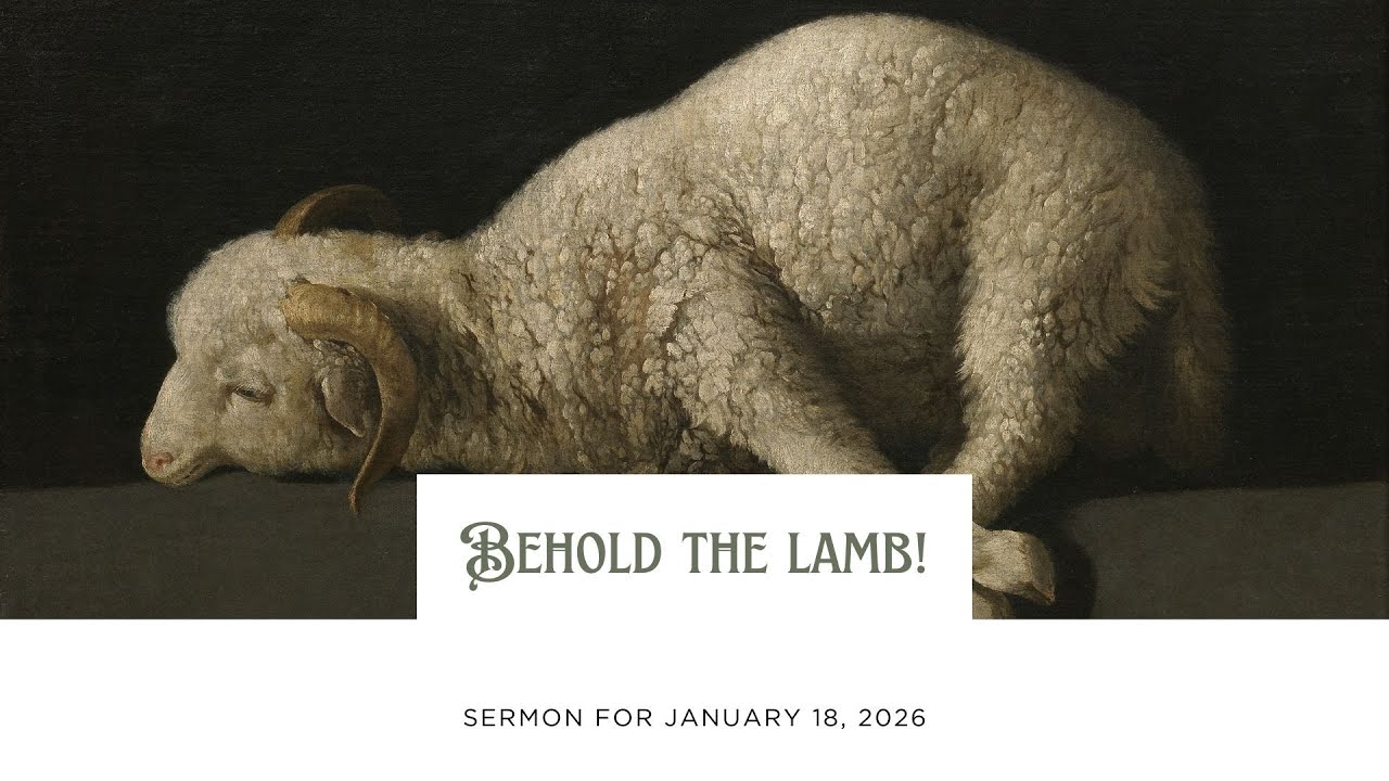 Behold the Lamb of God who takes away the sin of the World! Sermon for Jan 18, 2026