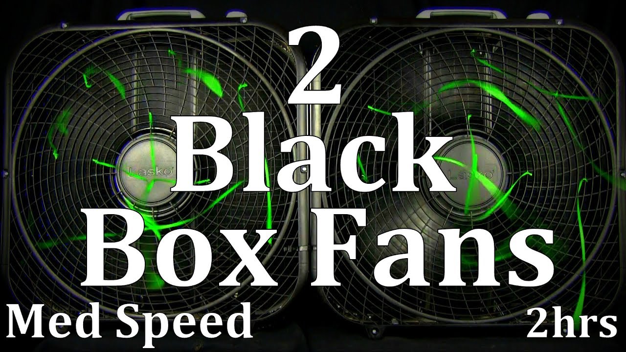 2 Black Box Fans Med Speed 2hrs 