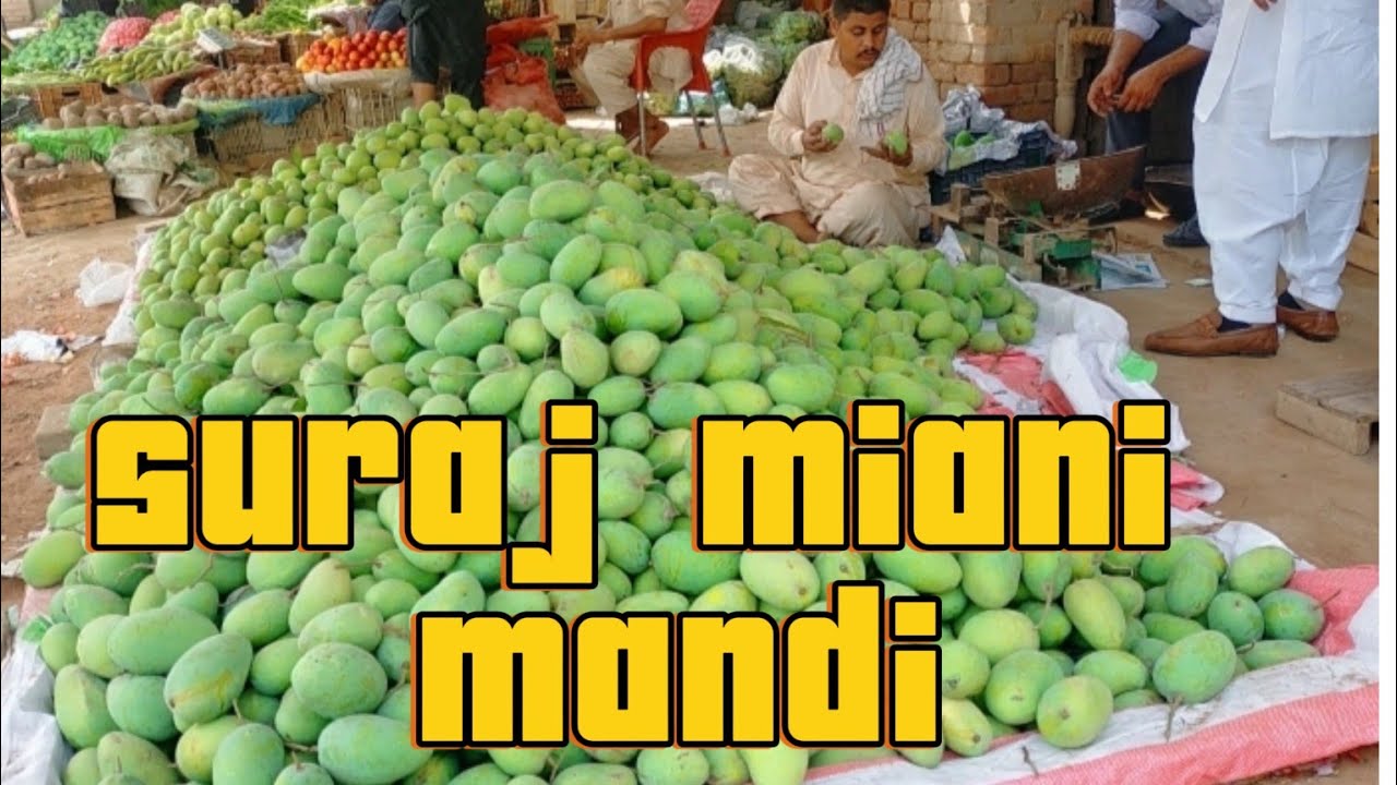 Suraj Miani Mandi with Ansari
