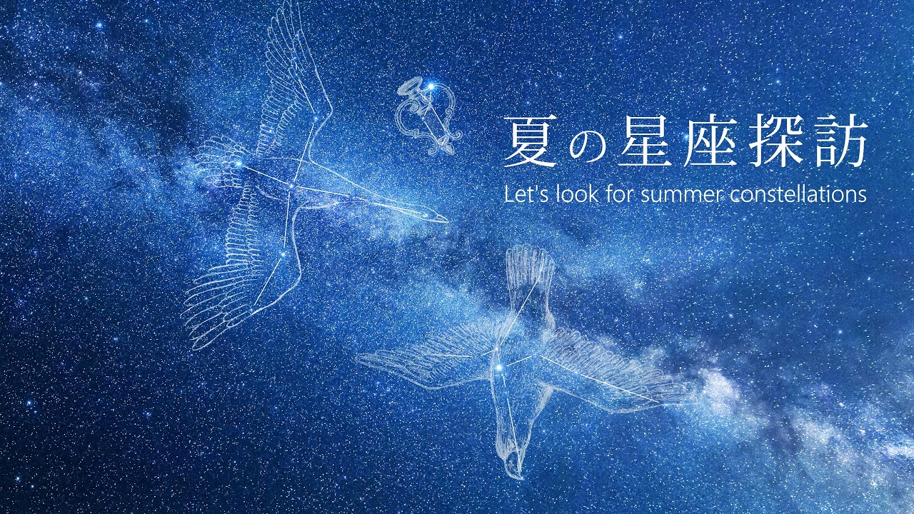 癒しの星空風景【夏の星座探訪】 タイムラプスで綴る夏の星座 Time Lapse Summer constellation 2022 4K