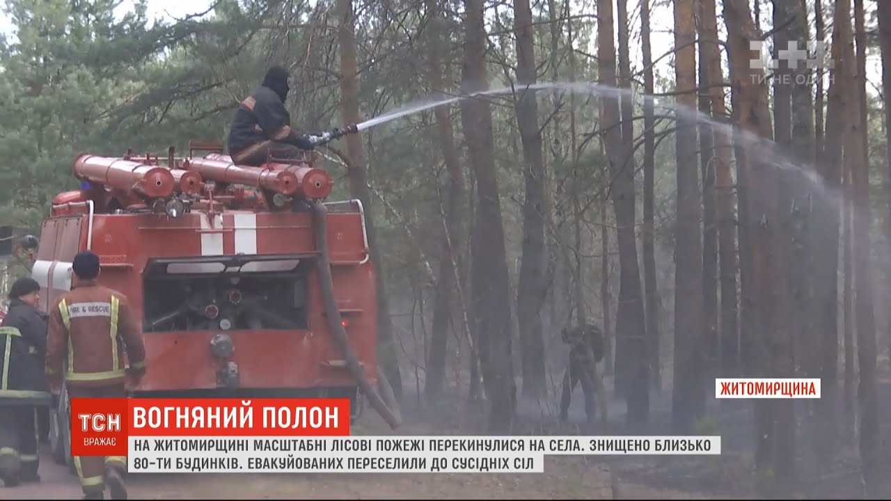 У що масштабні пожежі у Житомирській області перетворили довколишні села