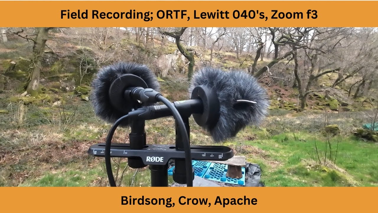 Field Recording Test: ORTF with stereo pair of Lewitt 040's and Zoom f3 recorder.