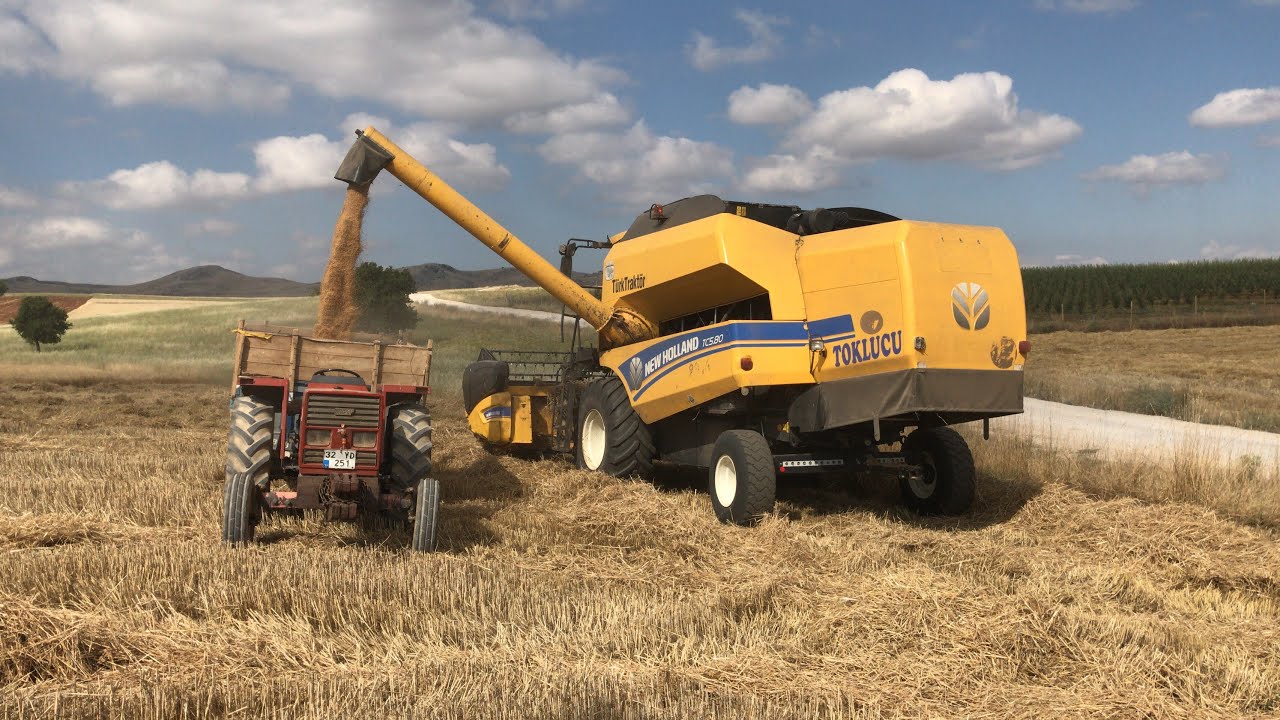 Buğday Hasadı - New Holland TC 5.80