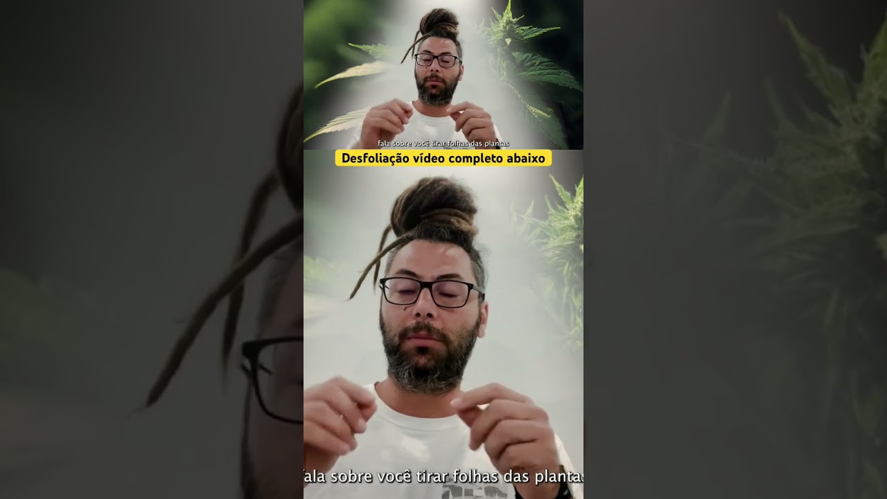 Desfolia&ccedil;&atilde;o