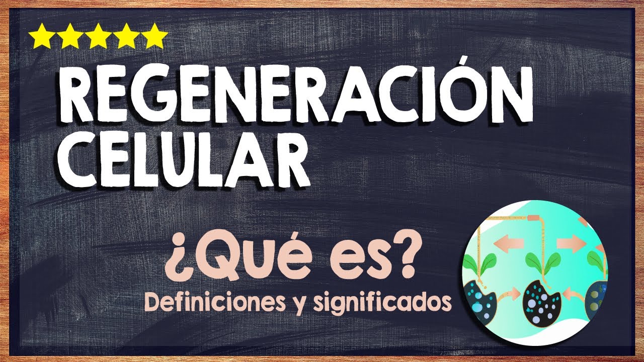 🙏 ¿Qué es la regeneración celular? - Conoce todo sobre la restauracion de células 🙏