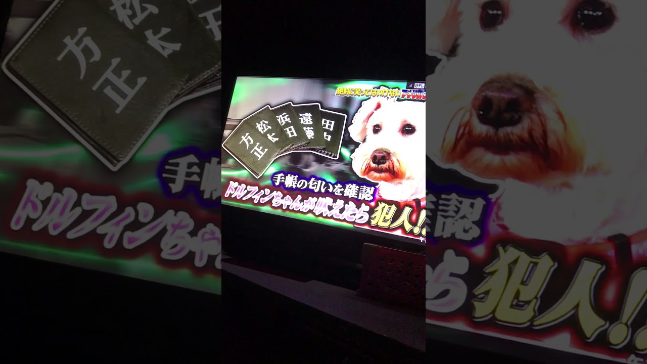 まさかの蝶野乱入！