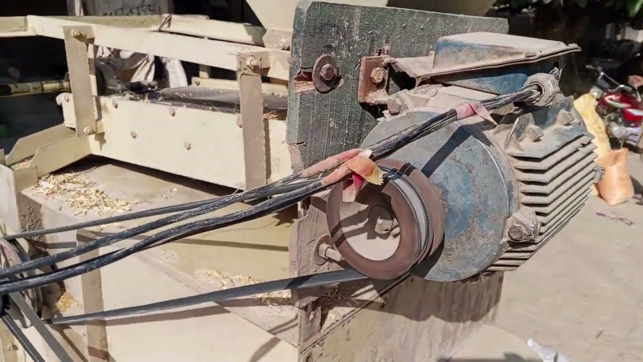 Wheat Cleaning Process | Pure Grains Ready for Milling