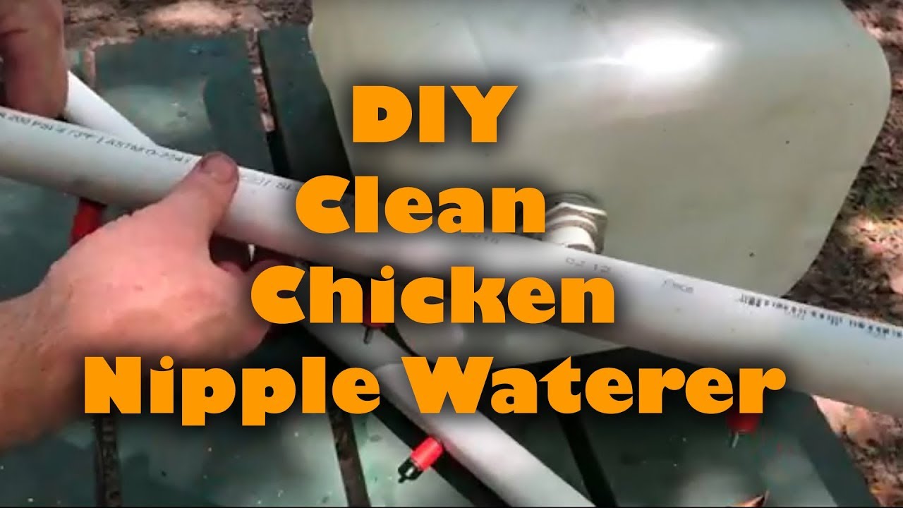DIY Clean Chicken Nipple Waterer