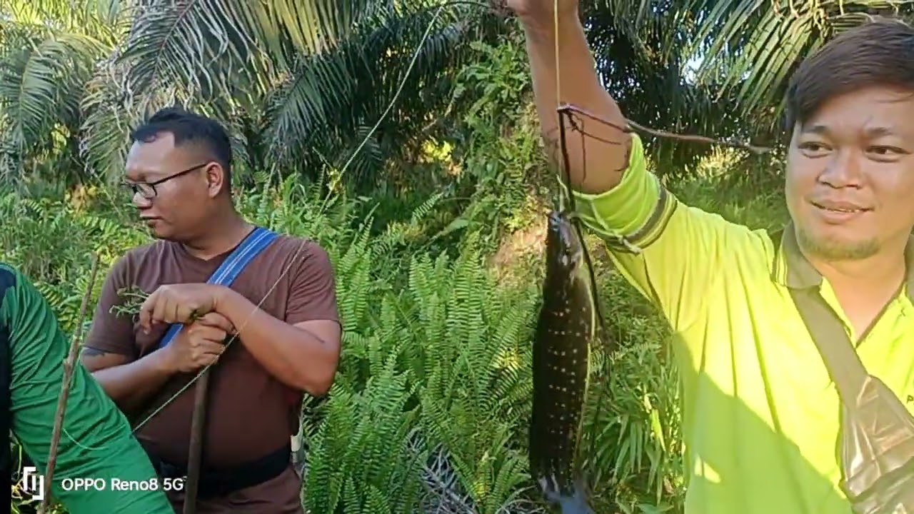 Menaut ikan Keli,Petang Ke malam..#KeliPat #KeliAkar