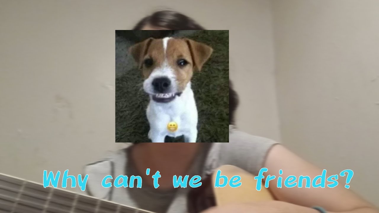 Why Can't We Be Friends? — The Academic / Cover