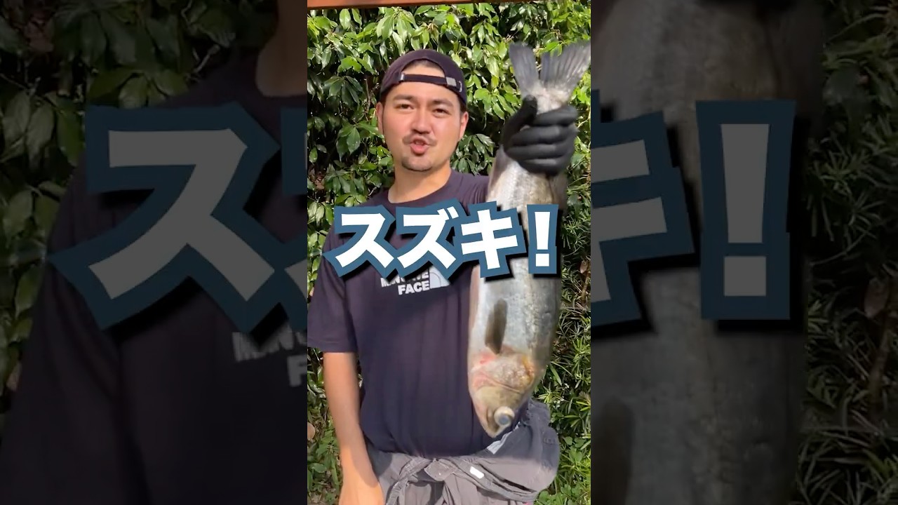 スズキのお刺身の仕立て方紹介します。