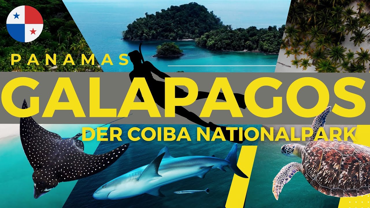 Das Galapagos von Panama! 🇵🇦 Der Coiba Nationalpark ist ein Paradies!🌊