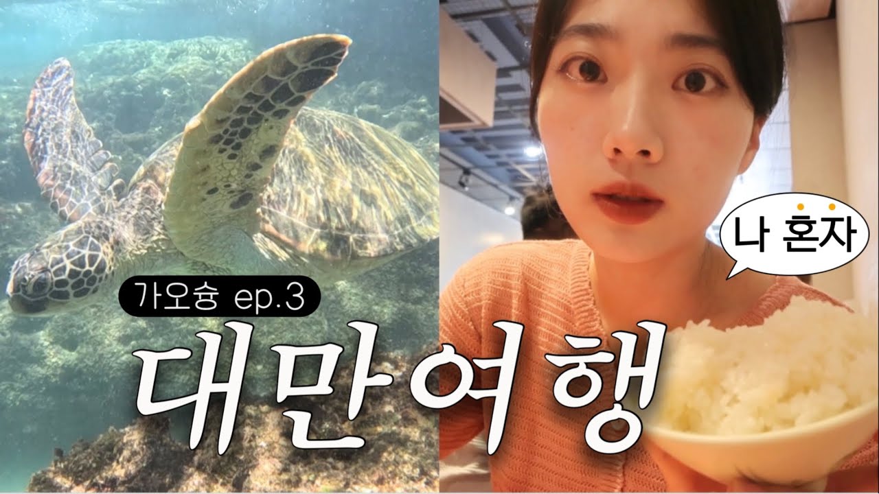 혼자 대만여행🩵 가오슝에서 본 바다거북이!🐢 (소류구, 스노쿨링, 대중잠부, 화병석, 파인애플 탕수육, 버블티, 아이허강, love river, 과일)