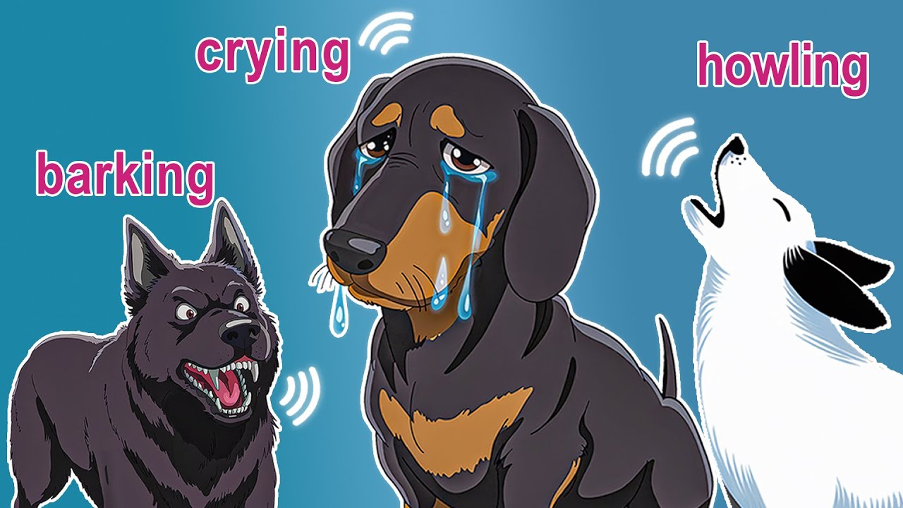 🐕 44 Dog Sounds: Crying, Barking, Howling and Whining 🐶