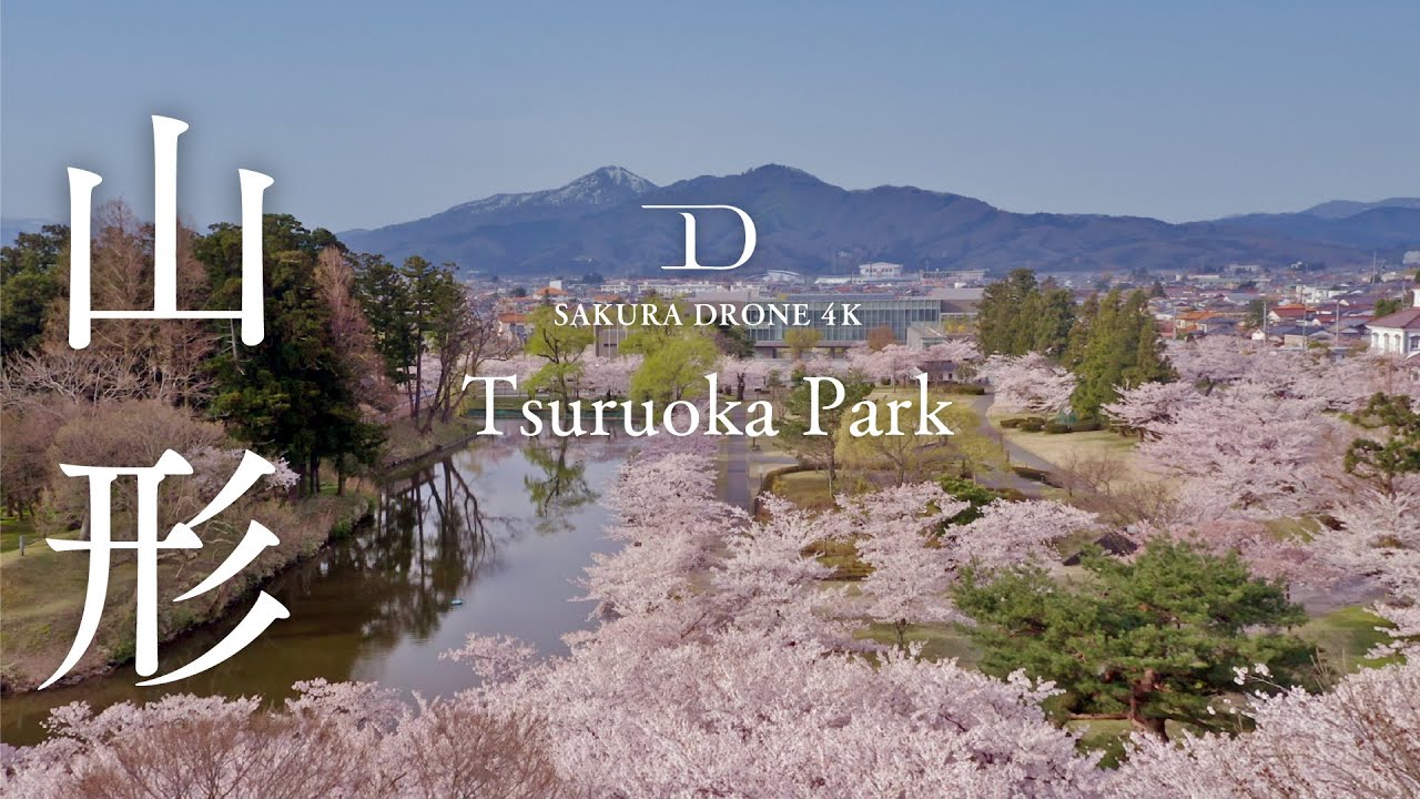 [桜ドローン撮影4K]山形県鶴岡市鶴岡公園 Tsuruoka Park in Tsuruoka｜桜ドローンプロジェクト