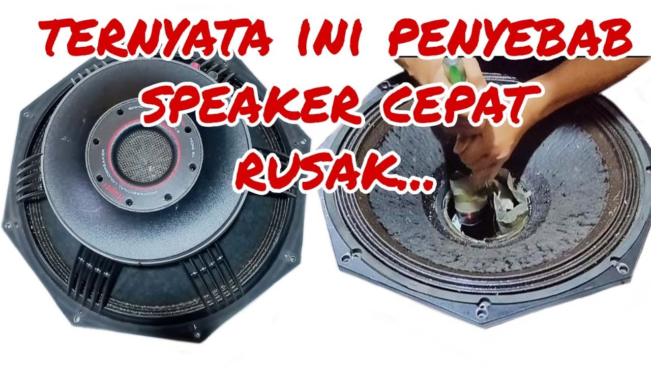 CARA SERVIS SPEAKER 18 INCH SUPAYA KUAT DAN AWET