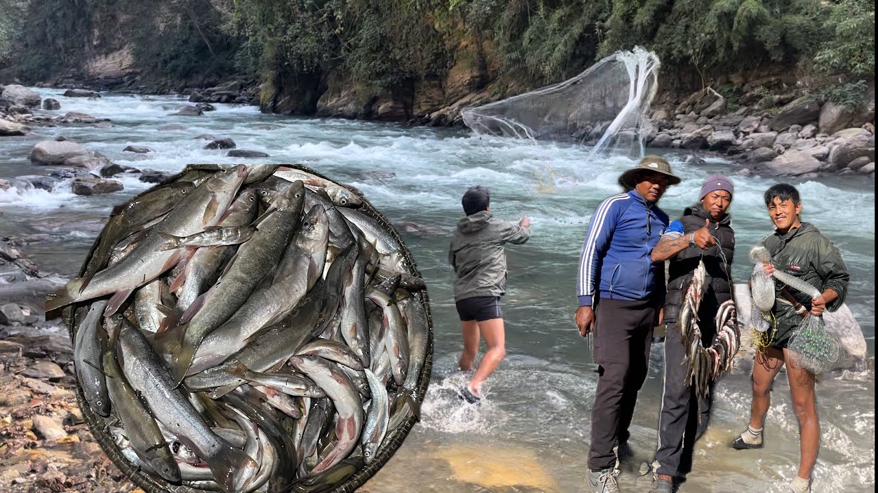 Net fishing in dangerous place and catching lots of fish ! अप्ठेरोठाउमा गयर जालमा धेरै माछा पार्दै !