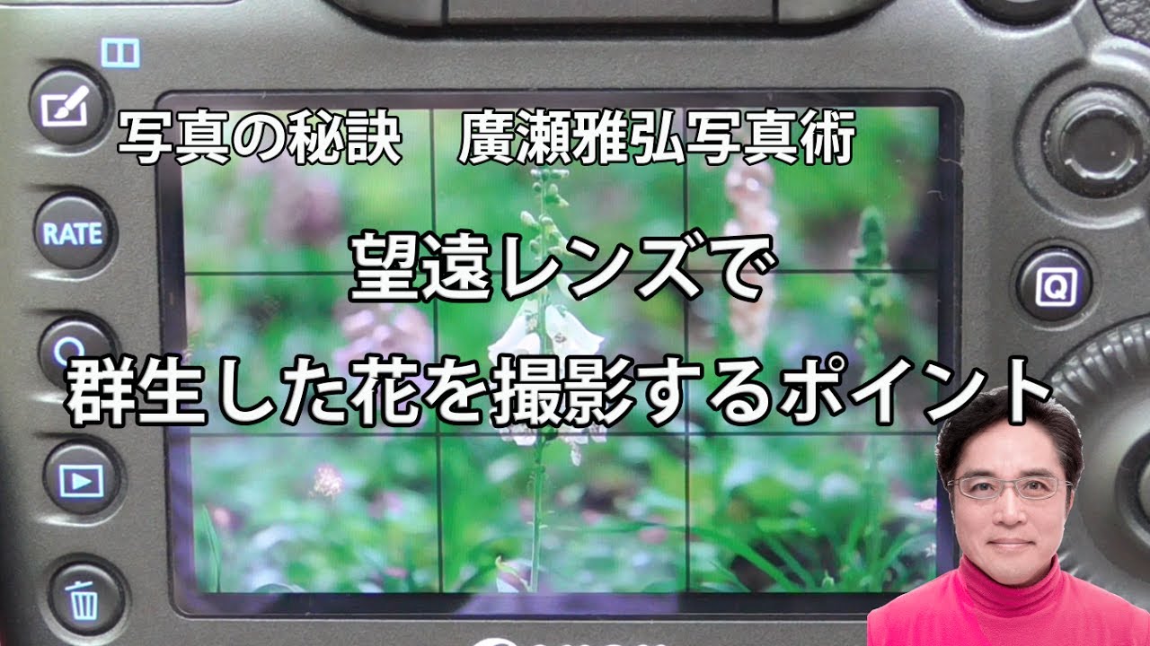 望遠レンズで群生した花を撮影するポイント