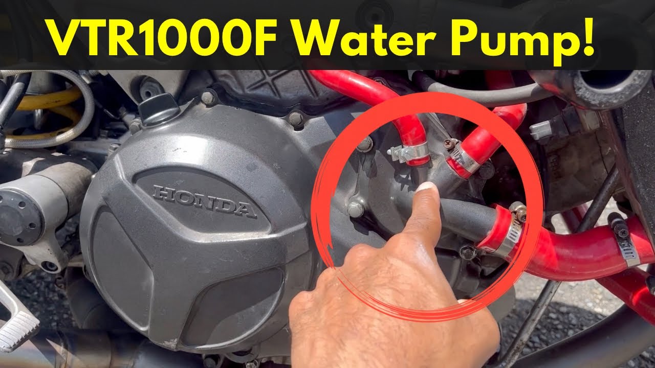 VTR1000F Worn Water Pump Bearing - How To Diagnose & Replace It