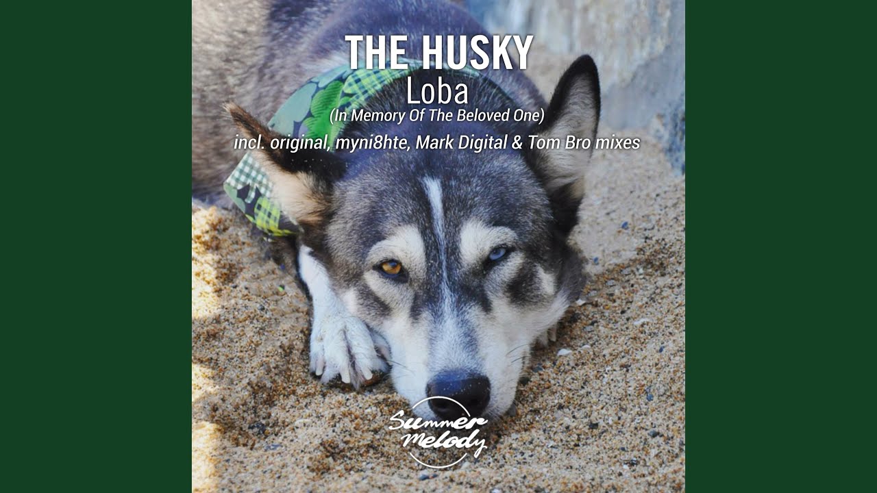 Loba (Original Mix)