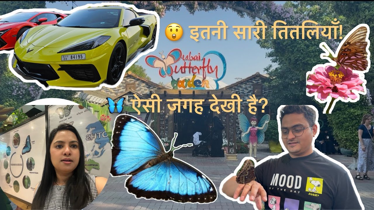 😲 इतनी सारी तितलियाँ! | This Place Is Magical! | Nature’s Magic| SB03