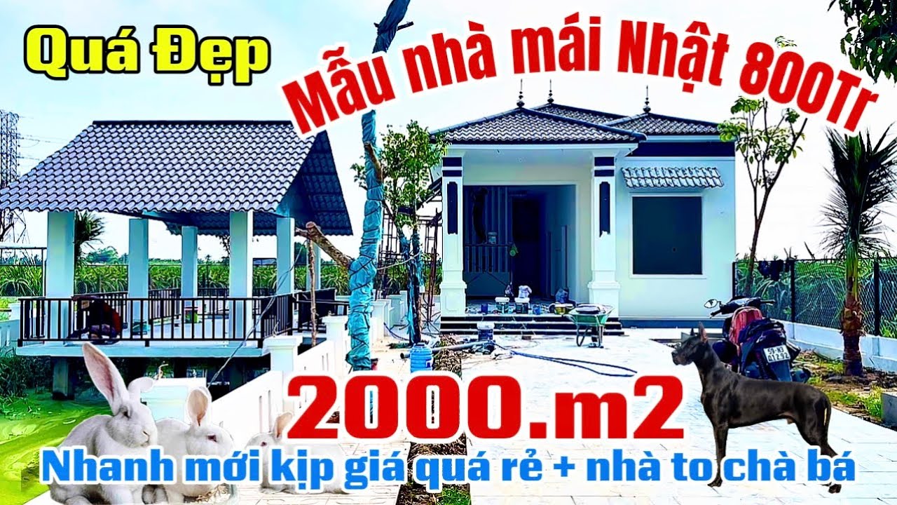👉 NHÀ VƯỜN NGHĨ DƯỠNG VEN BÌNH CHÁNH. Mẫu nhà mái Nhật đang được ưa chuộng hiện nay