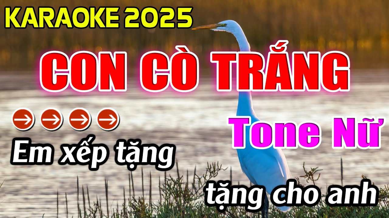 Con Cò Trắng Karaoke Tone Nữ Karaoke Hoàng Giang 62