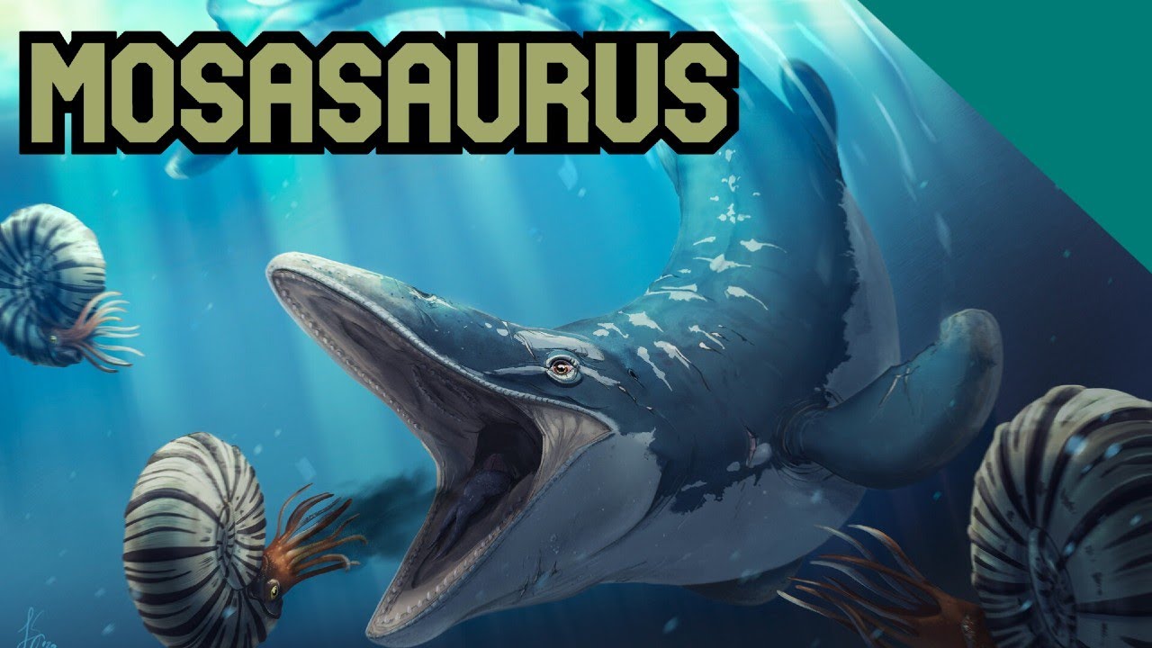 QUESTO è il PREDATORE più GRANDE del CRETACEO! | Mosasaurus
