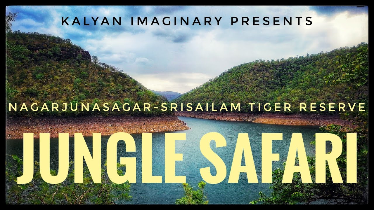 Jungle safari |Nagarjunsagar-Srisailam Tiger Reserve| 