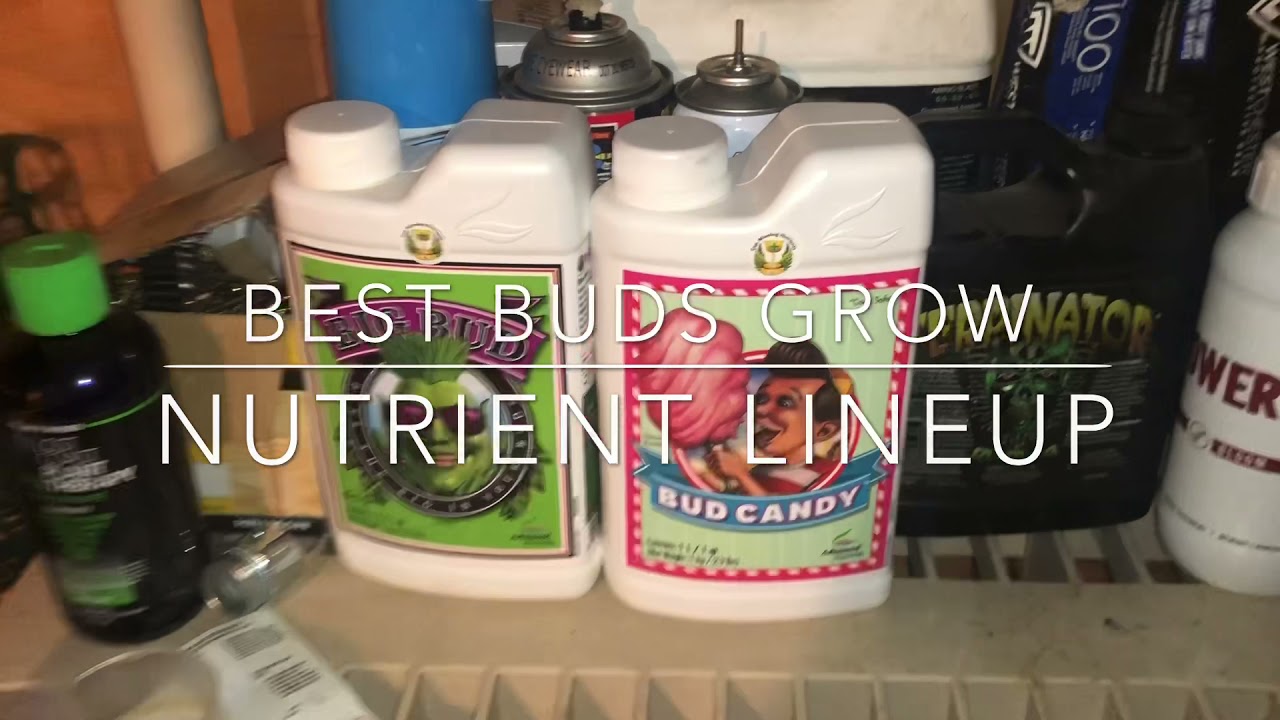 Nutrients Lineup | For Flower Only