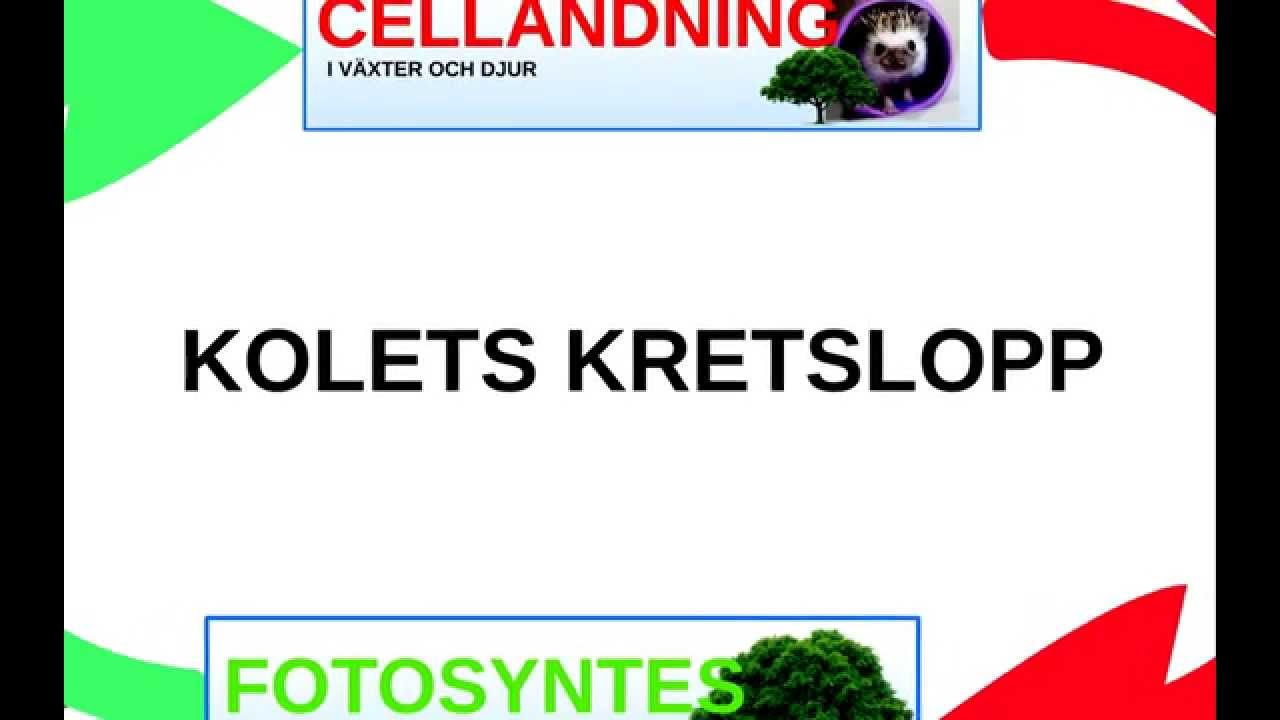 KOLETSKRETSLOPP