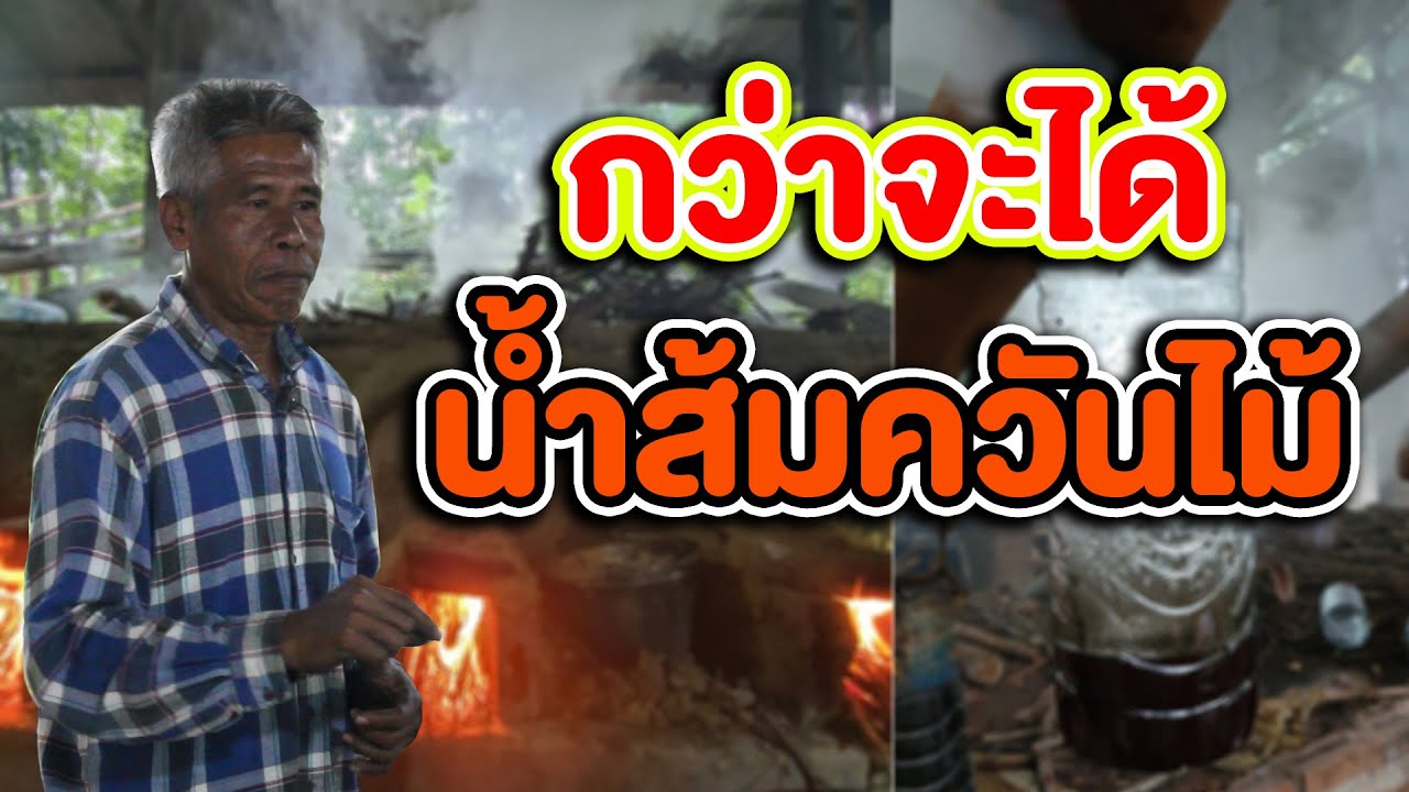 เผาถ่านเตา 200 ลิตร อบไล่ความชื้น | คนรักษ์ป่า ep 20