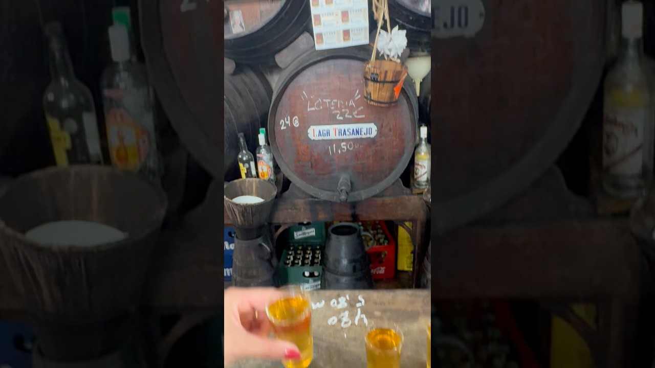 Step inside the oldest and most iconic bar in Malaga #travel #travelvlog #spain #malaga
