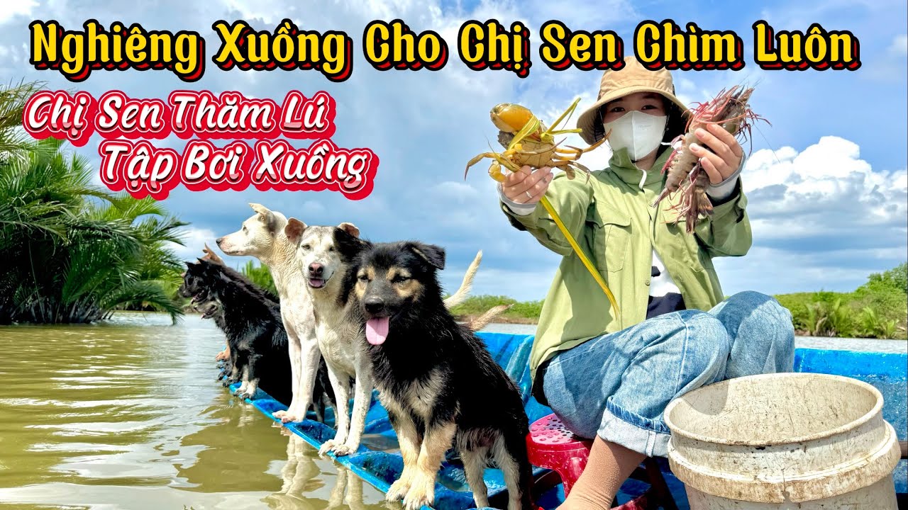 Hai Vợ Chồng Dẫn Theo Bầy C.hó Đi Thăm Lú Tôm, Cua - Chị Sen Tập Bơi Xuồng Nhưng Lại Sợ Chìm Xuồng