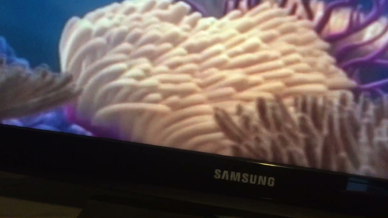 Opening to Finding Nemo 2003 Disc 1