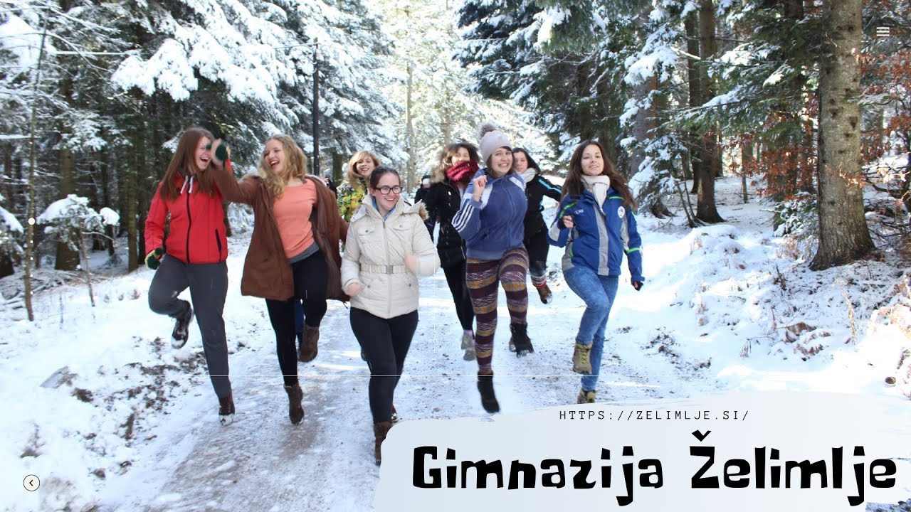 Gimnazija Želimlje - predstavitev šole