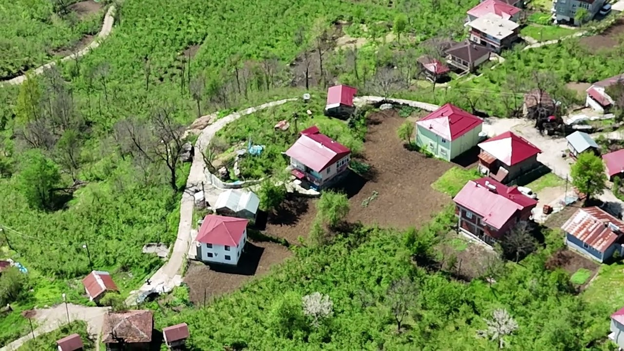 ORDU  GÖLKÖY   Aydoğan mah   MAYIS 2025