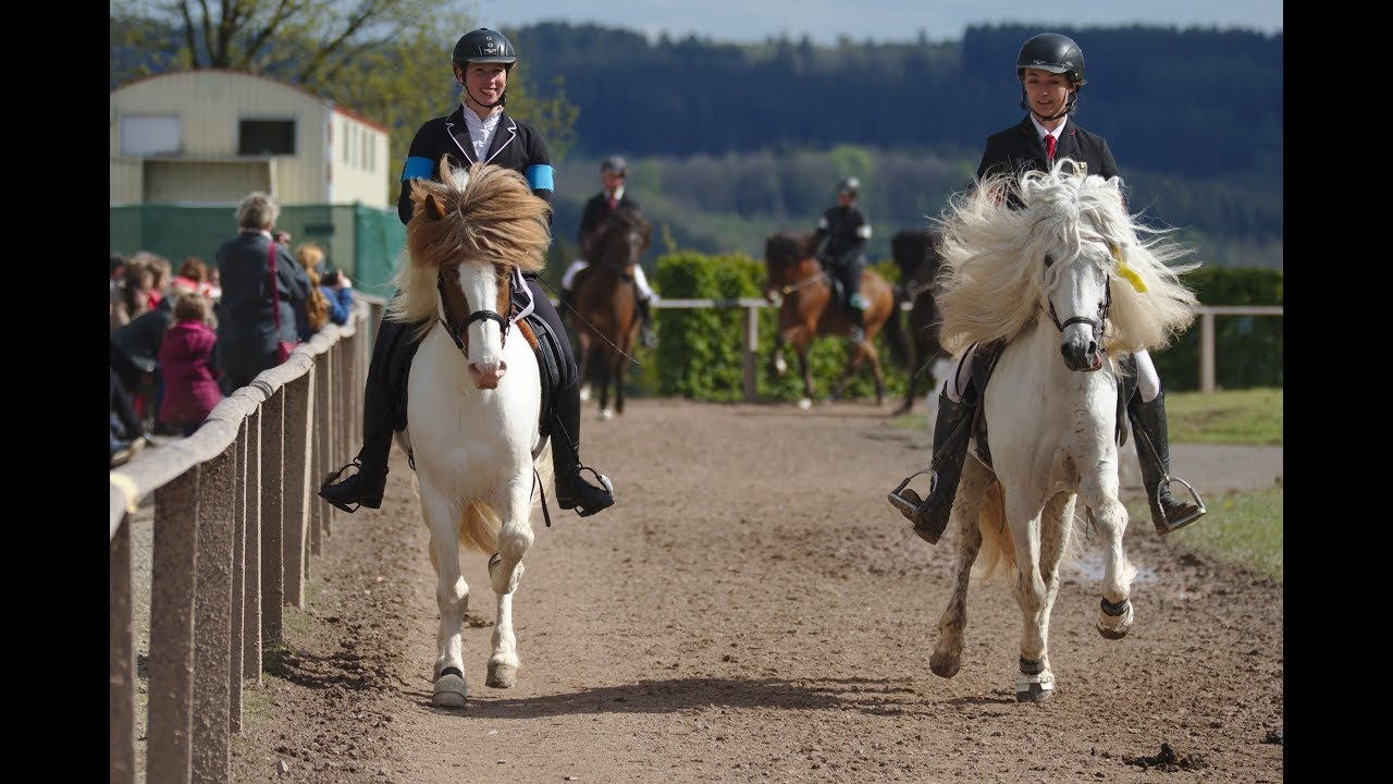 Islandpferde Reitturnier, IPZV, Birkenhof, NRW, Mai 2019, Simply The Best