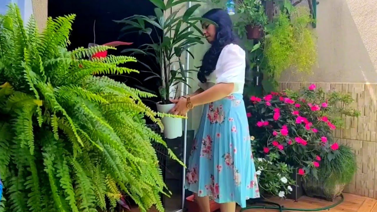 ROTINA COM MUITAS PLANTAS LINDAS NO QUINTAL TOUR 🌺🪴🌸🍃