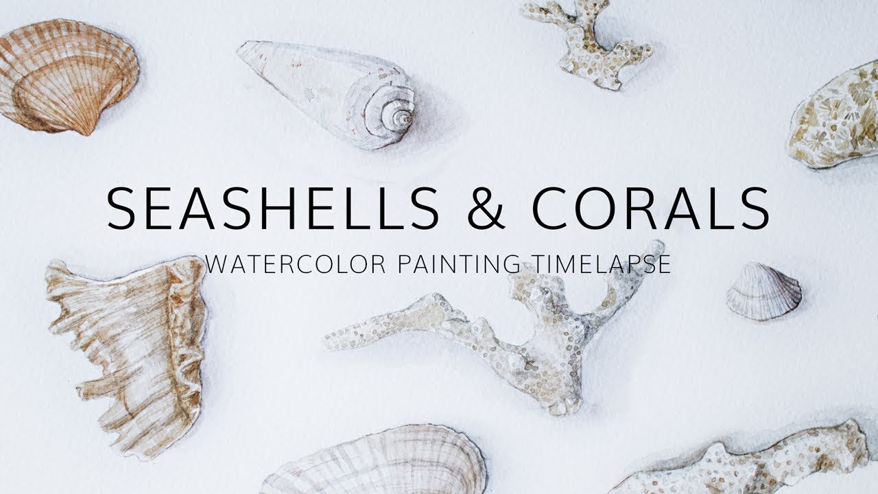 Seashells and corals · Watercolor painting Time lapse