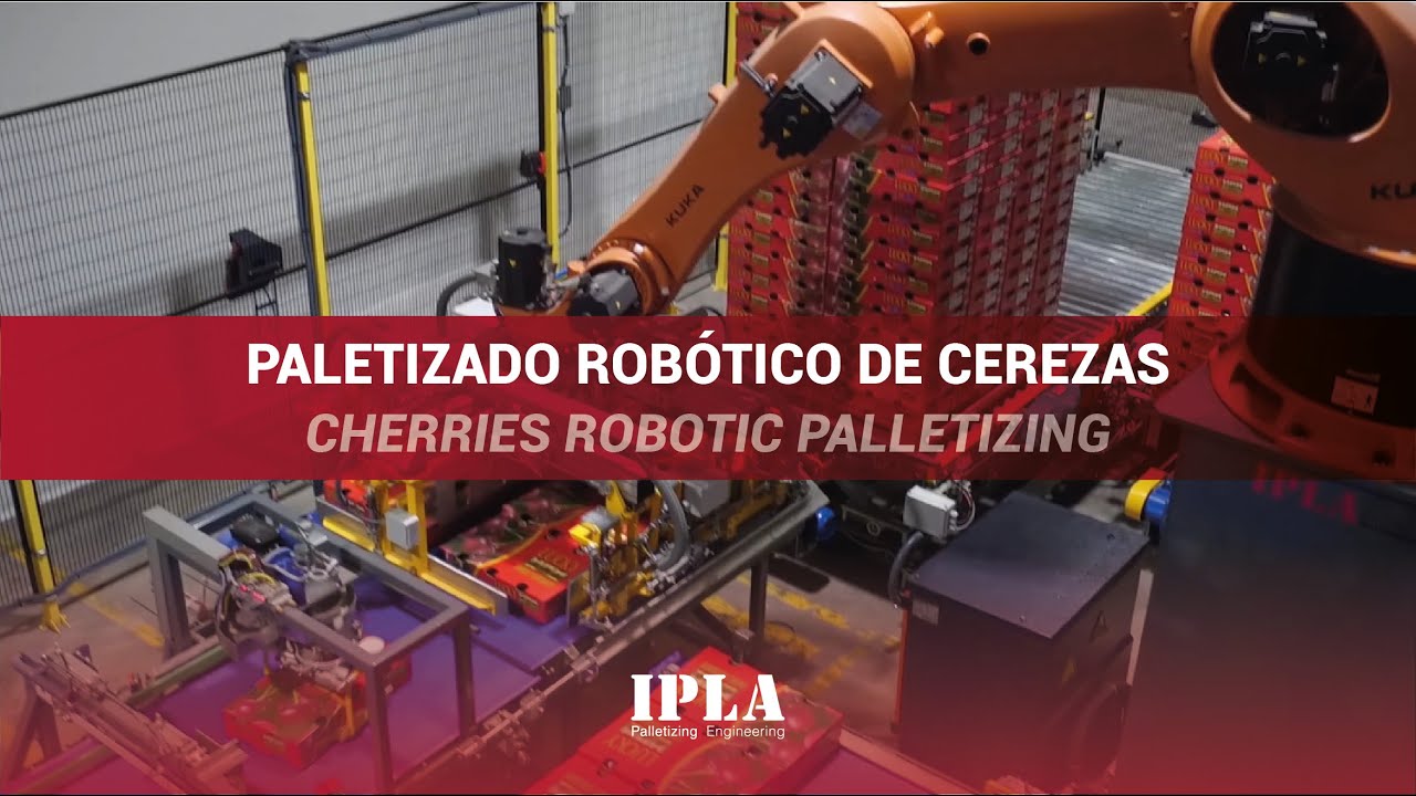 IPLA| Paletizado robótico de cerezas