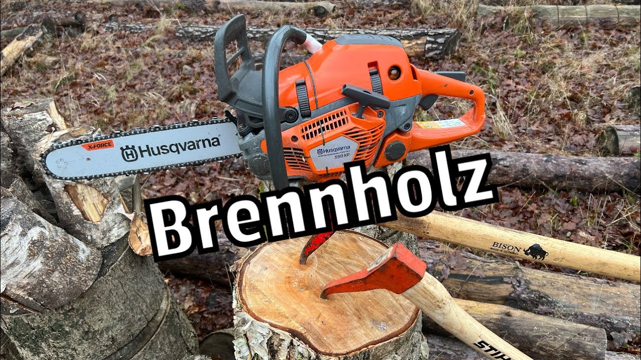 Husqvarna 550 XP Mark 2 | Brennholz sägen 🪵