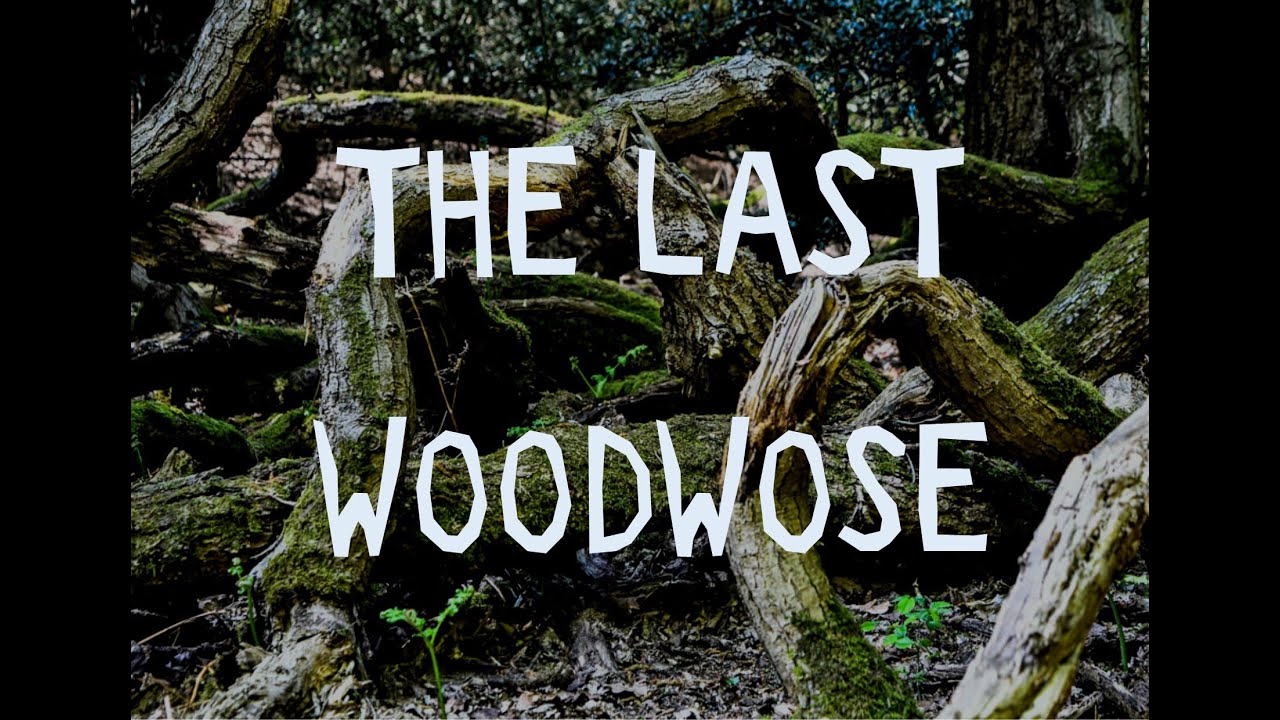 THE LAST WOODWOSE TRAILER