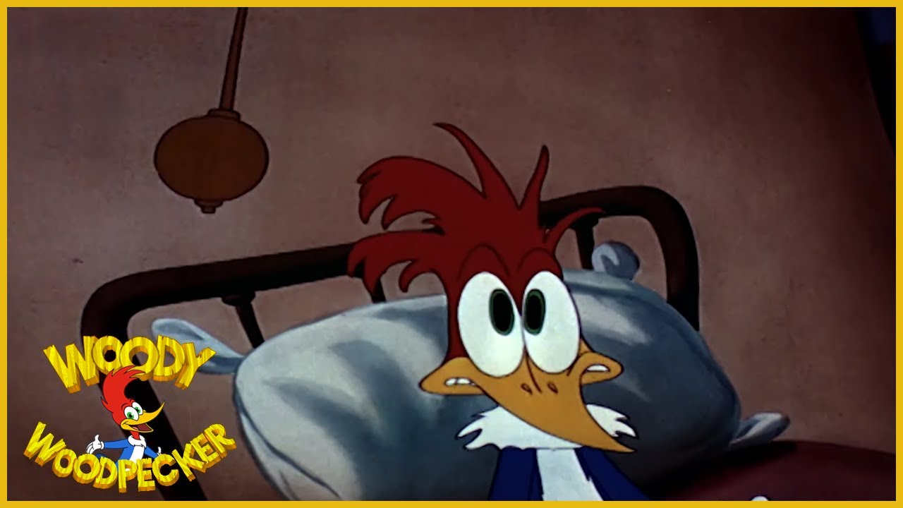 Woody Woodpecker | The Coo Coo Bird | Full Episodes