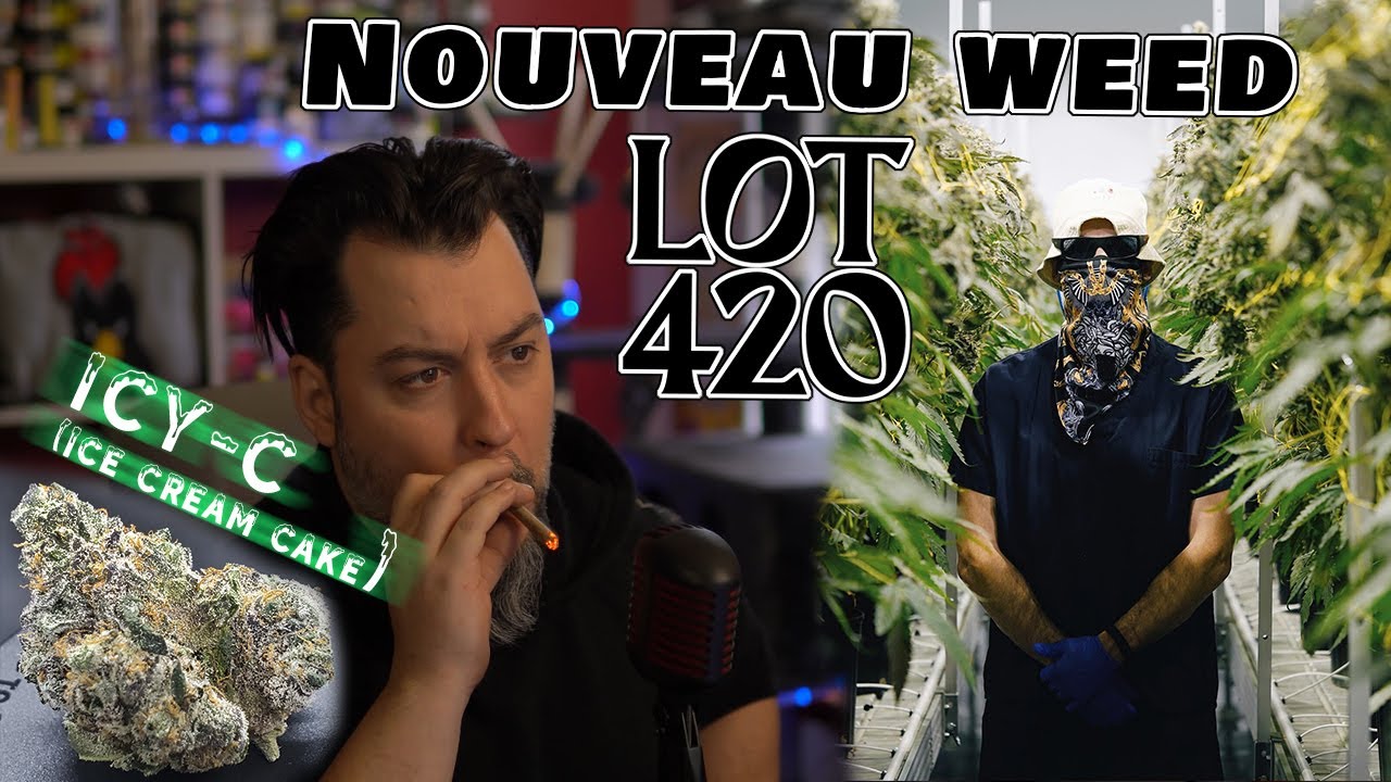 LOT 420 ! OFF MENU ICY-C Ice Cream Cake ! Dispo chez Mendo ! SQDC bient&ocirc;t ! Gelato 33 x Wedding Cake