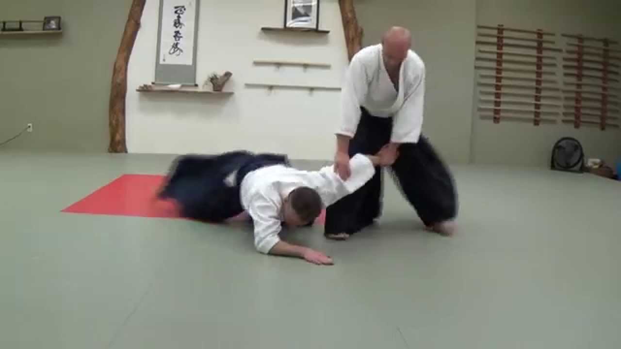 Bushikan Aikido 2015
