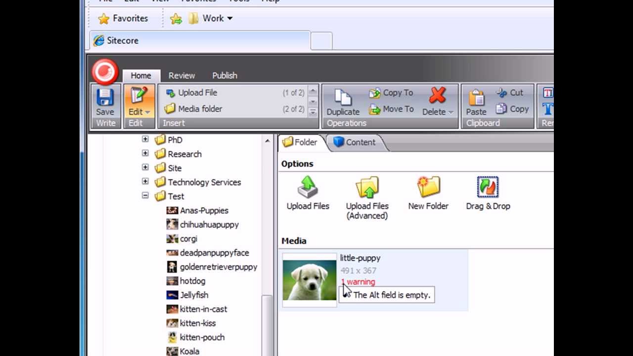Using the Sitecore Media Library