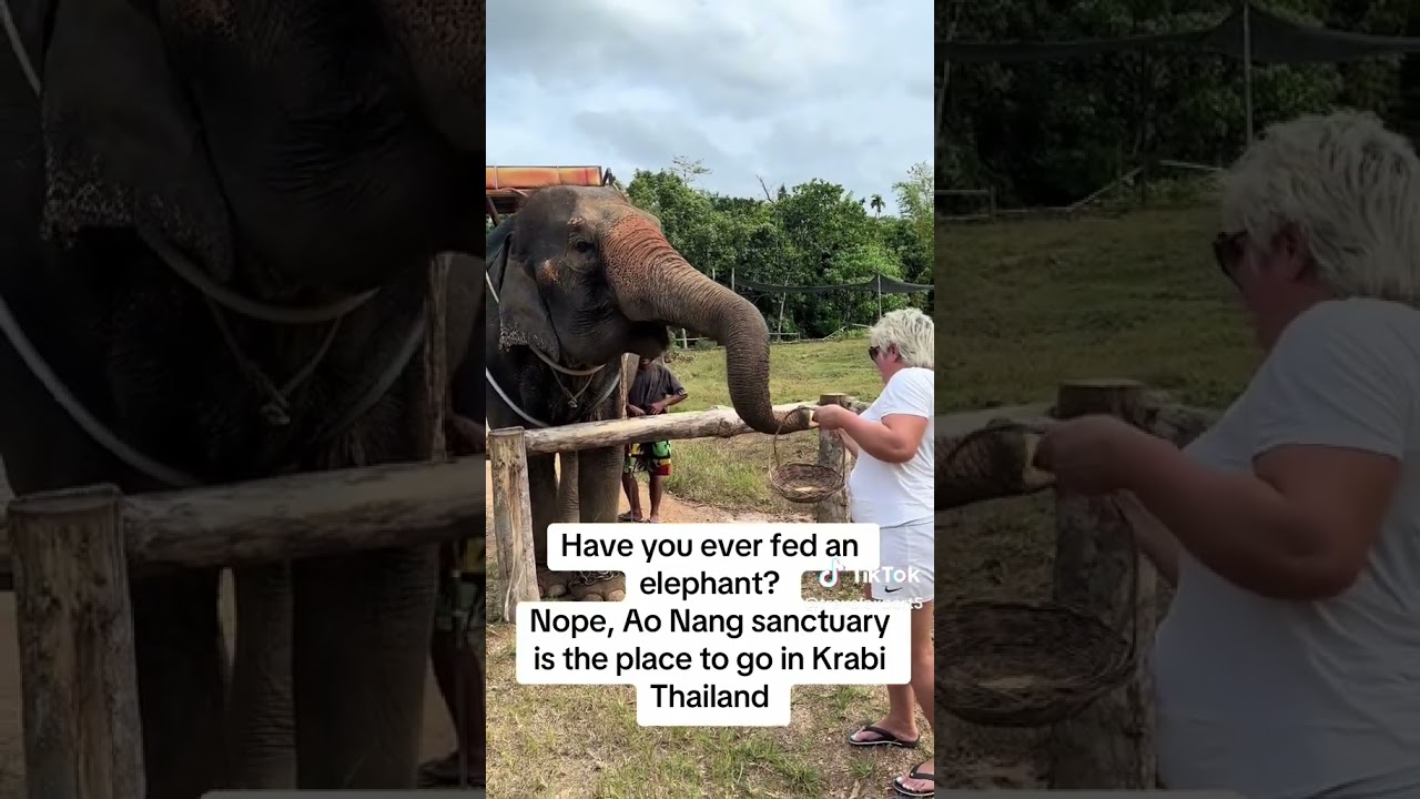 🐘 Elephant Sanctuary Ao Nang Krabi 🇹🇭 | Ethical Encounters with Gentle Giants 🌿